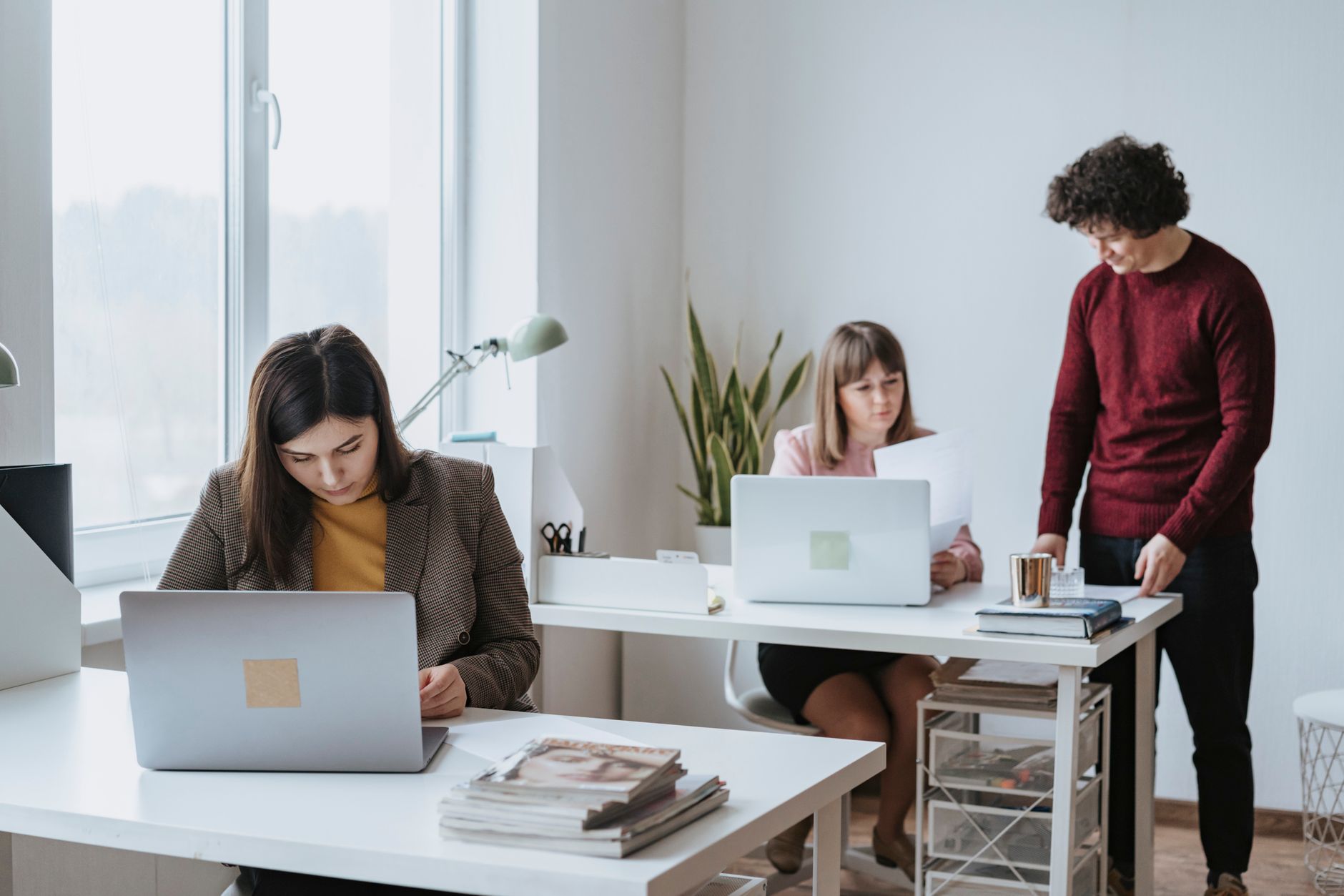 modern real estate office with laptops and people collaborating